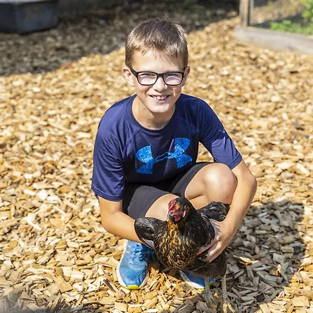 Feriengut Fingerhof * Flachau