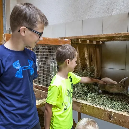 Feriengut Fingerhof Flachau