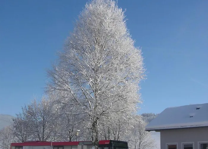 Apartment Feriengut Fingerhof *