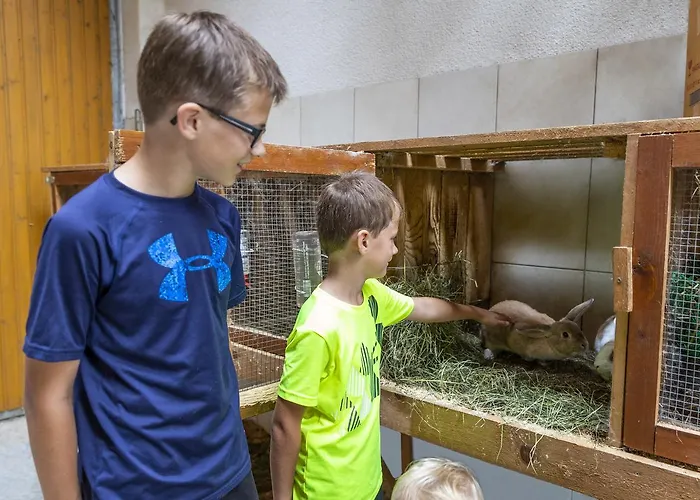 Feriengut Fingerhof Flachau